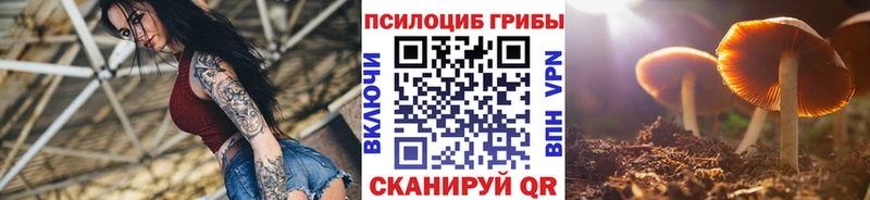 Псилоцибиновые грибы Magic Shrooms  Евпатория 